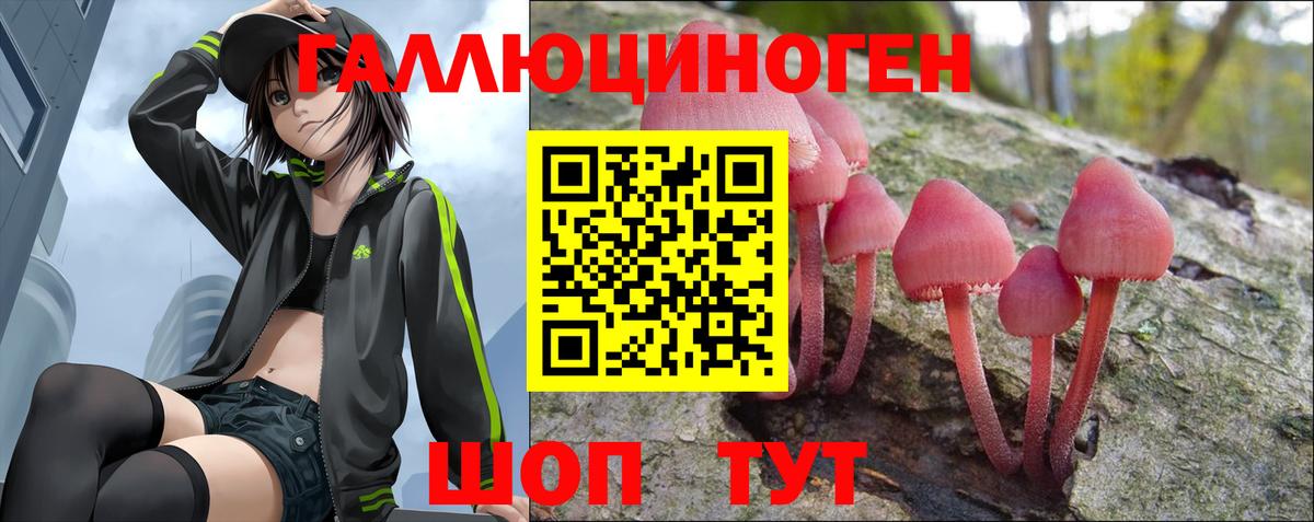 Галлюциногенные грибы мицелий  Вход с VPN  Канаш 